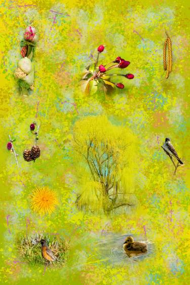 Original Fine Art Seasons Mixed Media by Petras Paulauskas