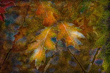 Original Abstract Expressionism Seasons Mixed Media by Petras Paulauskas