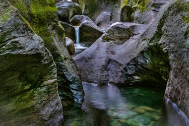 Original Fine Art Nature Photography by Petras Paulauskas
