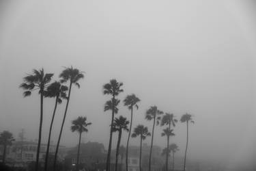 Original Black & White Landscape Photography by Ziesook You
