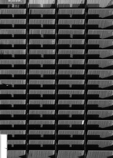 Original Abstract Expressionism Architecture Photography by Emme Pons