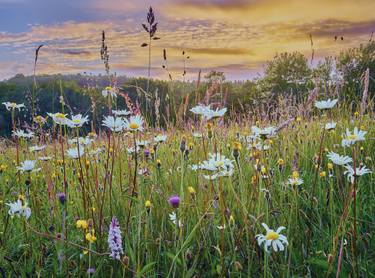 Original Fine Art Nature Photography by Matthew Thomas