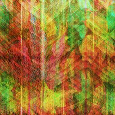 Original Abstract Expressionism Abstract Digital by Scott Gieske