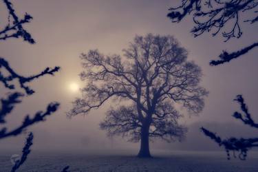 Original Symbolism Landscape Photography by Tom Ledan