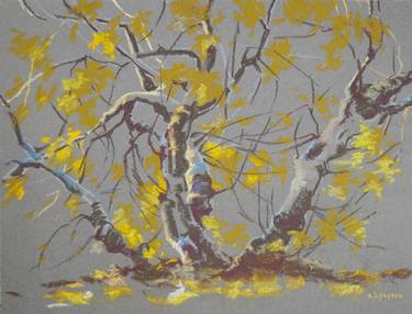 Original Fine Art Tree Drawings by Alexandra Ilyayeva
