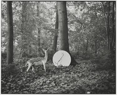 Original Conceptual Animal Photography by Vikram Kushwah