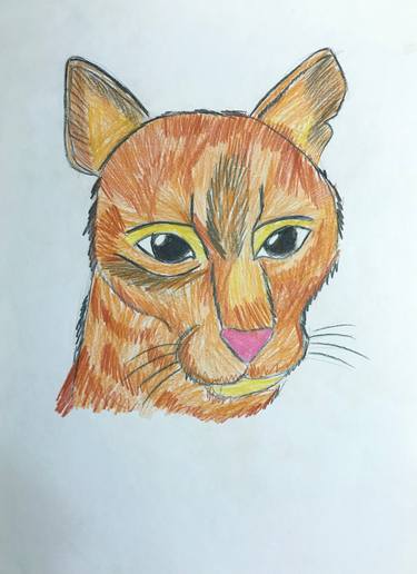Original Abstract Cats Drawings by Anastasia Terskih