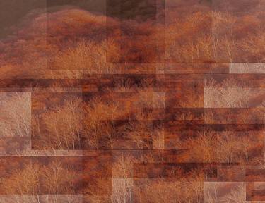 Original Impressionism Nature Photography by Anders Hingel