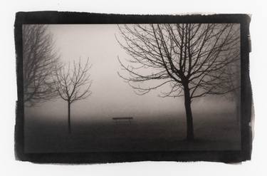 Original Conceptual Nature Printmaking by Pawel Libera