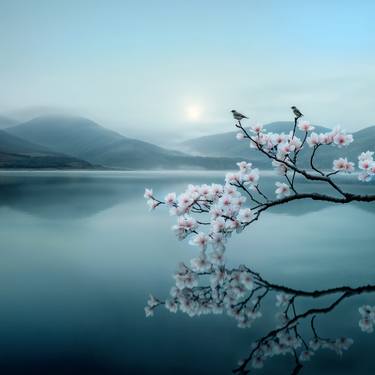 Original Contemporary Landscape Photography by Michael Filonow