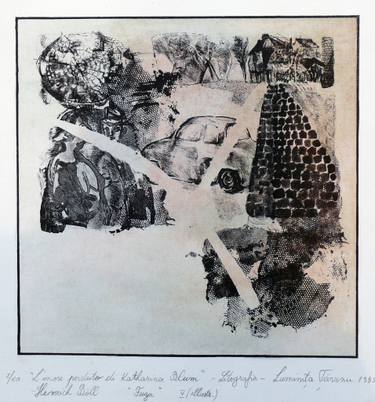 Original Modern Landscape Printmaking by Luminita Taranu