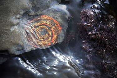Original Fine Art Nature Photography by Stuart Conway