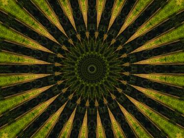 Original Contemporary Abstract Digital by Diana Editoiu