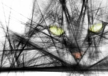 Original Abstract Cats Digital by Iryna Calinicenco