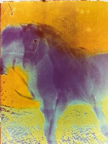 Original Surrealism Animal Mixed Media by Carolyn Krieg