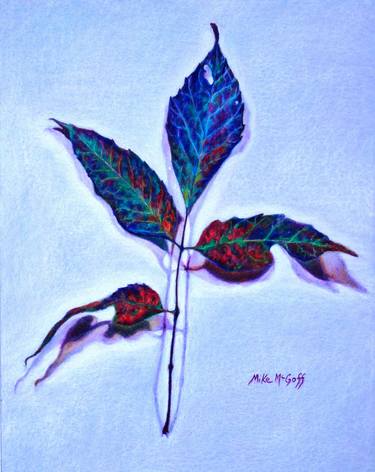 Original Realism Nature Drawing by Mike Mcgoff