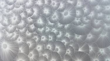 Original Conceptual Geometric Digital by Mauro Bustos