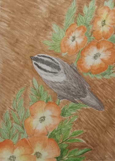 Original Illustration Nature Painting by Ian Langham