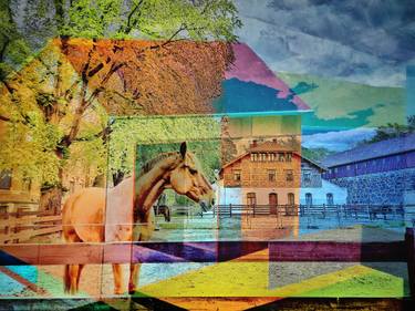 Original Abstract Expressionism Horse Printmaking by Violet Polsangi