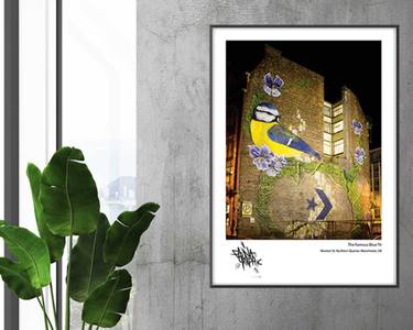 Original nature Graffiti Photography by Sarah Yates