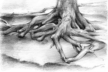 Original Figurative Tree Drawings by Adriana Mueller