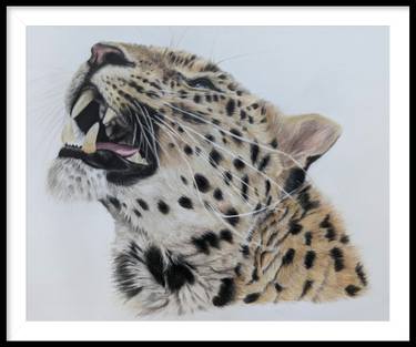 Original Realism Animal Drawing by Victoria Harris Arts