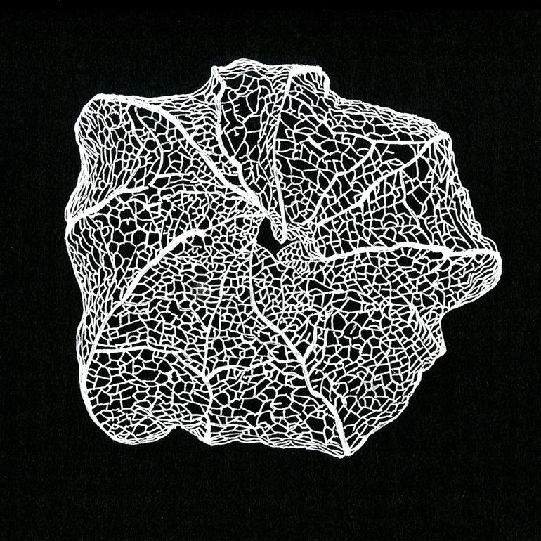Original Figurative Botanic Drawings by Eric Reyes-Lamothe