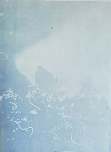 Original Figurative Animal Printmaking by Johanna Aenderl