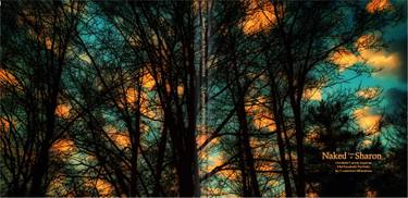 Original Fine Art Tree Photography by Truckin Lawrence Wheatman