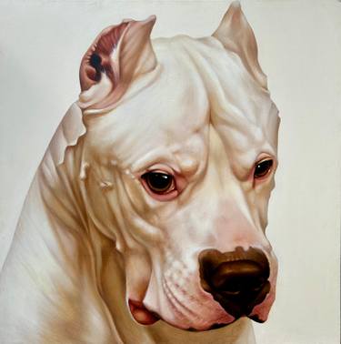 Original Fine Art Animal Painting by Martha Fein
