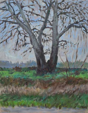 Original Impressionism Tree Paintings by Marko Vujisikj