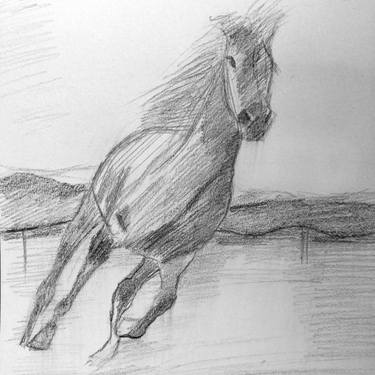 Original Figurative Animal Drawing by Lalla Pluto