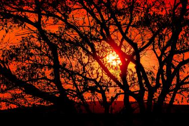 Original Abstract Expressionism Landscape Photography by Sergio  Cerezer