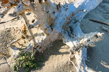 Original Abstract Expressionism Beach Photography by Sergio  Cerezer