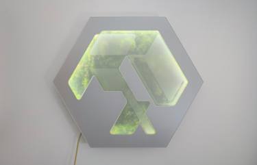 Original Minimalism Botanic Installation by Anibal Gomescasseres