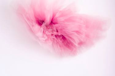 Original Conceptual Light Photography by Vanessa Dutra