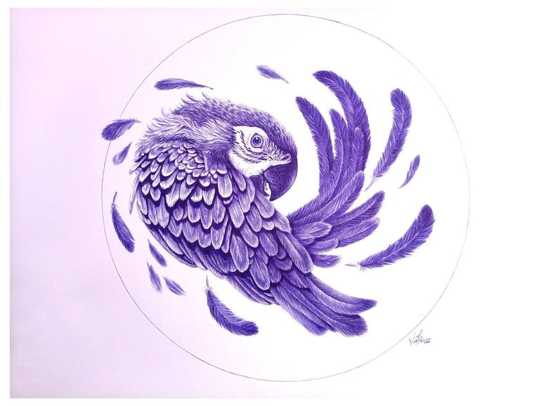 Blue Pen Drawing Nature Blue Bird Drawing By Ebuka Emmanuel