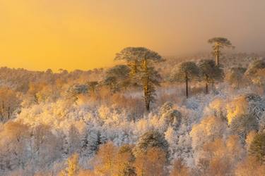 Original Conceptual Landscape Digital by Esteban Sunyer
