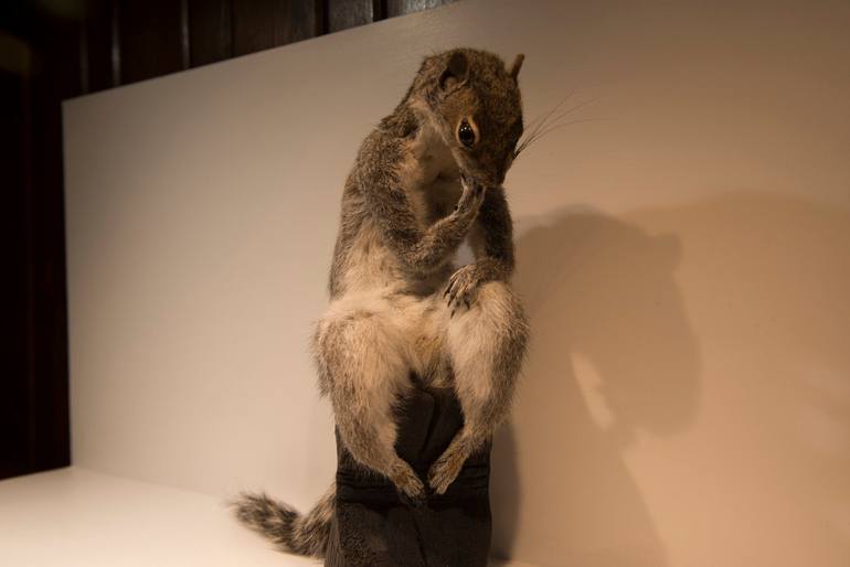 Original Fine Art Animal Sculpture by Field And Young