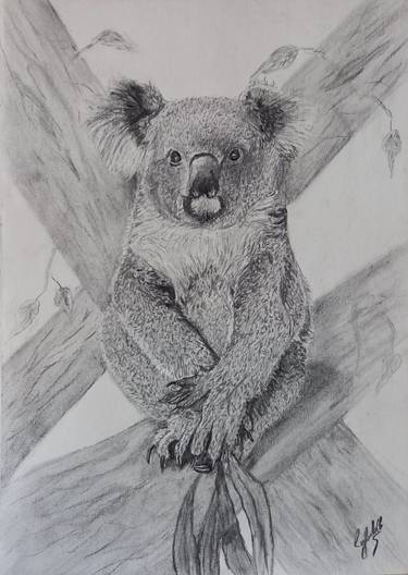 Original Fine Art Animal Drawings by Cybele Chaves