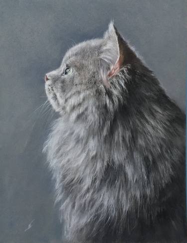 Original Realism Animal Drawings by Juan Pastor De La Puente
