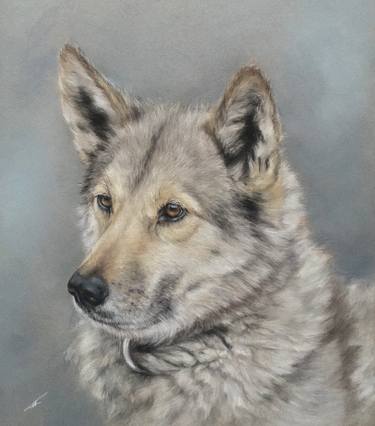 Original Realism Animal Drawings by Juan Pastor De La Puente