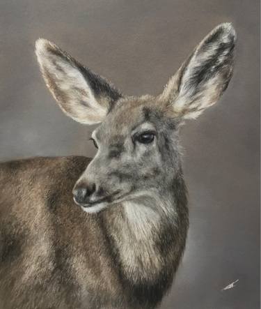 Original Realism Animal Drawings by Juan Pastor De La Puente
