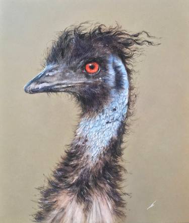Original Realism Animal Drawings by Juan Pastor De La Puente
