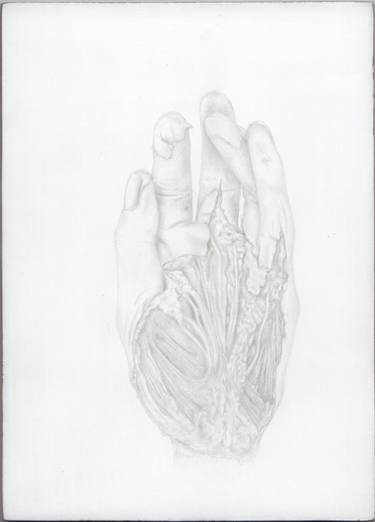 Original Figurative Body Drawing by Kirsty Harris