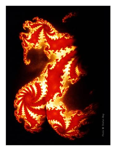 Original Abstract Expressionism Abstract Photography by Stefan May