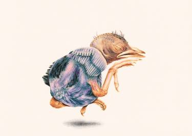 Original Fine Art Animal Drawings by Dennice Juwono