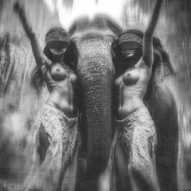 Original Portraiture Nature Photography by Felipe Hueb