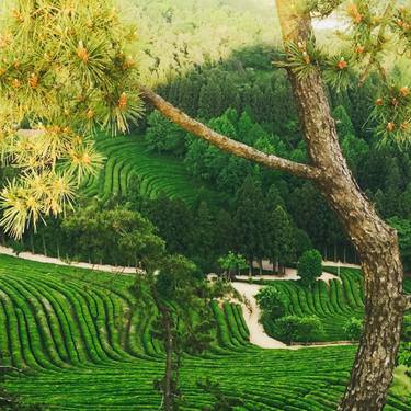 Original Nature Photography by Caroline Karason