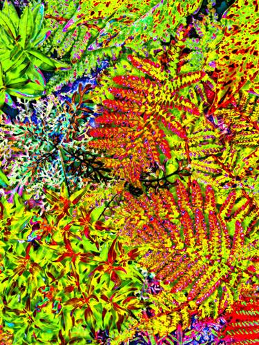 Original Abstract Botanic Digital by Mark Ross